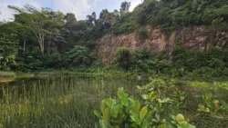 Rifle Range Nature Park 1077299355