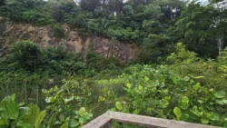 Rifle Range Nature Park 2079482091