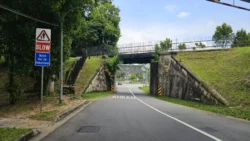 Bukit Timah Nature Reserve 1112662542