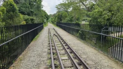 Bukit Timah Nature Reserve 127967955