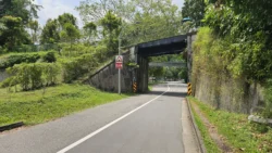 Bukit Timah Nature Reserve 2211223111
