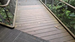 Rifle Range Nature Park 365512732