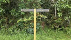 Rifle Range Nature Park 1056550053