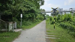 Rifle Range Nature Park 2431044921
