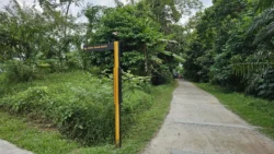 Rifle Range Nature Park 275140196