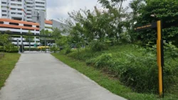 Rifle Range Nature Park 3195613176
