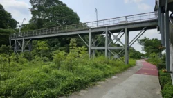 Rifle Range Nature Park 3063635352