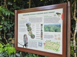 Singapore Botanic Gardens 1735803909