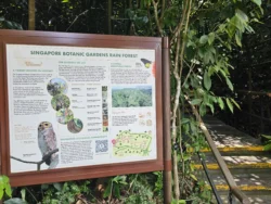 Singapore Botanic Gardens 3247172023