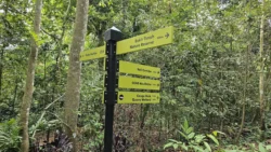 Rifle Range Nature Park 1925777820