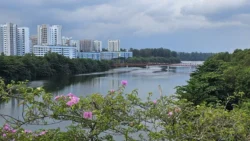 Lorong Halus Wetland 2542103948