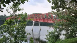 Lorong Halus Wetland 3510844671