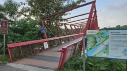 Lorong Halus Wetland 2482515293