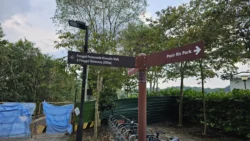 Lorong Halus Wetland 2972333911
