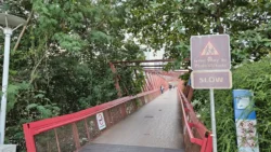 Lorong Halus Wetland 846075398