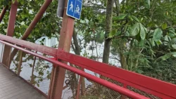 Lorong Halus Wetland 195518949