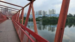 Lorong Halus Wetland 1107098048
