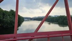 Lorong Halus Wetland 2016775715