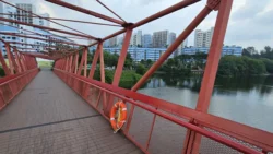 Lorong Halus Wetland 2677088550