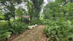 Bukit Timah Nature Reserve 1635800482