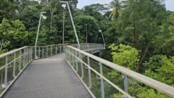 Rifle Range Nature Park 3778467539
