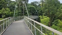 Rifle Range Nature Park 1499204766
