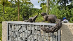 Rifle Range Nature Park 255229031