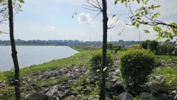 Lower Seletar Reservoir (Rower's Bay) 461457540