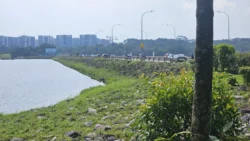 Lower Seletar Reservoir (Rower's Bay) 714942509