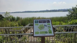 Lower Seletar Reservoir (Rower's Bay) 1481754904