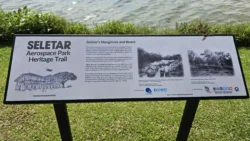 Lower Seletar Reservoir (Rower's Bay) 477878424