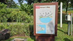 Lower Seletar Reservoir (Rower's Bay) 2288305299