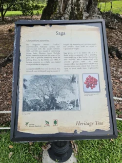 Singapore Botanic Gardens 696697529