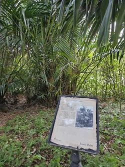 Singapore Botanic Gardens 2756735430