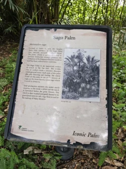 Singapore Botanic Gardens 4272373567
