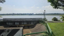 Lower Seletar Reservoir (Rower's Bay) 2309258515