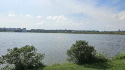 Lower Seletar Reservoir (Rower's Bay) 1360668341