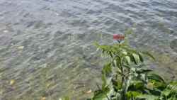 Lower Seletar Reservoir (Rower's Bay) 1027935078