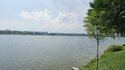 Lower Seletar Reservoir (Rower's Bay) 1104273091