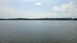 Lower Seletar Reservoir (Rower's Bay) 268085998