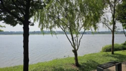 Lower Seletar Reservoir (Rower's Bay) 2718763062