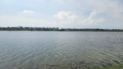 Lower Seletar Reservoir (Rower's Bay) 1290188412