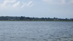 Lower Seletar Reservoir (Rower's Bay) 47039057