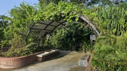 Sembawang Hot Spring Park 3458663987