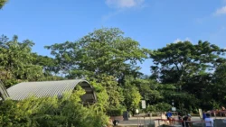 Sembawang Hot Spring Park 4228755178