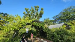 Sembawang Hot Spring Park 2858144321