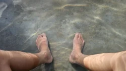 Sembawang Hot Spring Park 2252796815