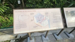 Sembawang Hot Spring Park 2543883320