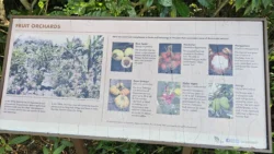 Sembawang Hot Spring Park 3051461869