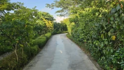 Sembawang Hot Spring Park 4290341493